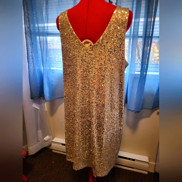 Large Sparkly Reitmans Dress - Picture 3 of 5